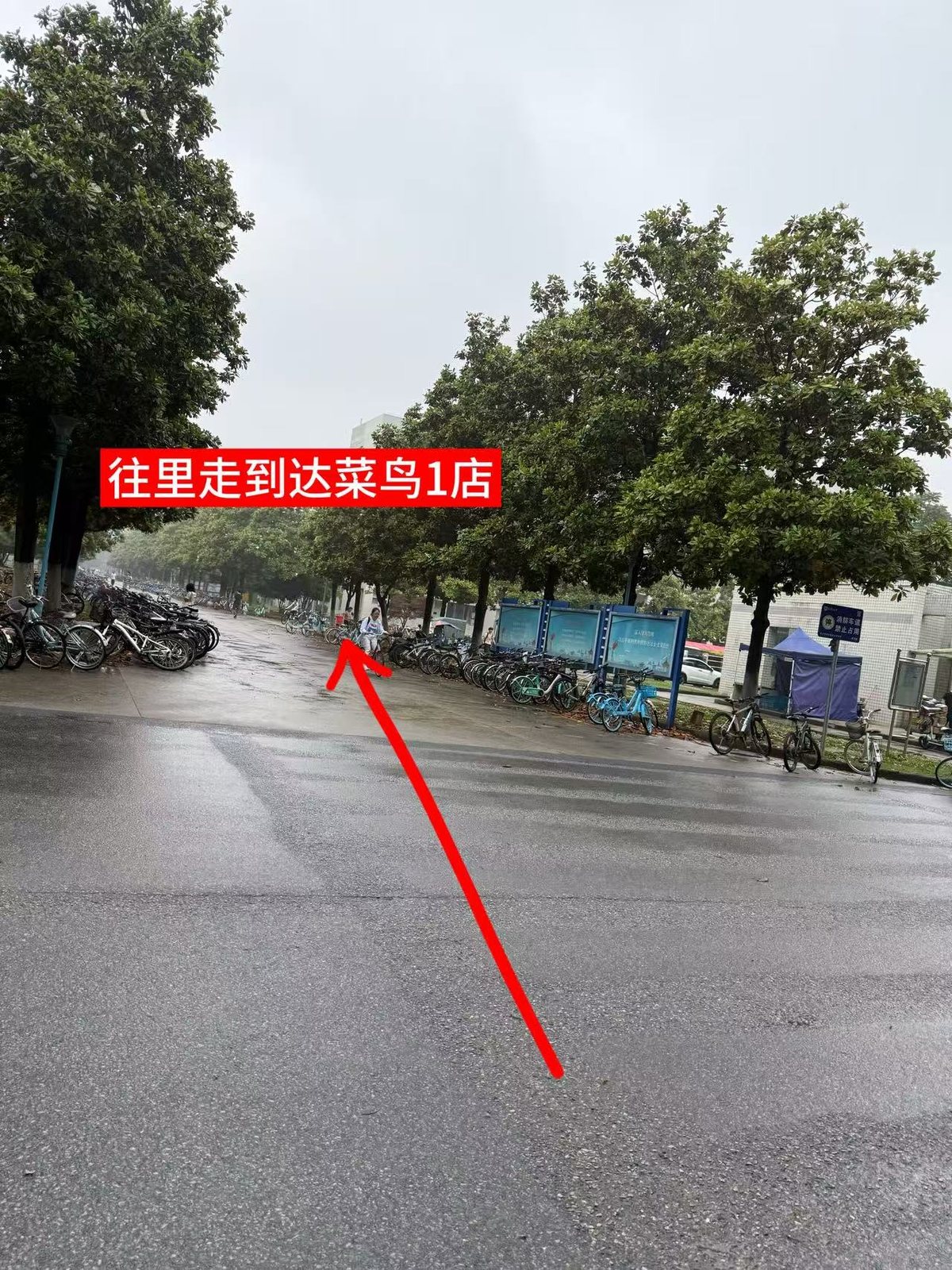 从东门入口左转前往菜鸟1店